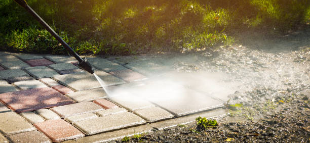 Best Warehouse Cleaning  in Paisley, FL