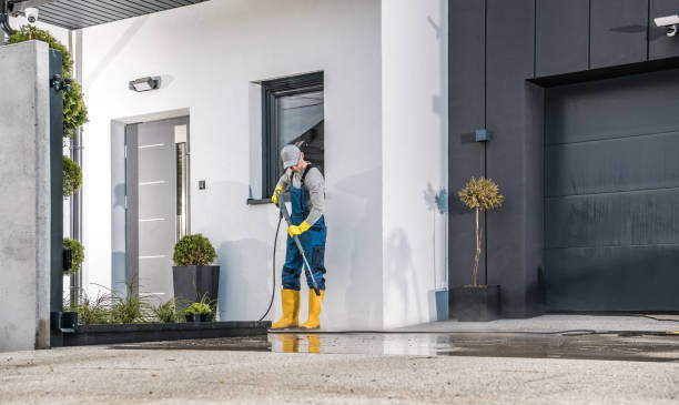 Best Soft Washing  in Paisley, FL