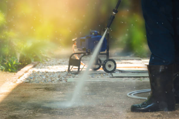 Best Graffiti Removal  in Paisley, FL